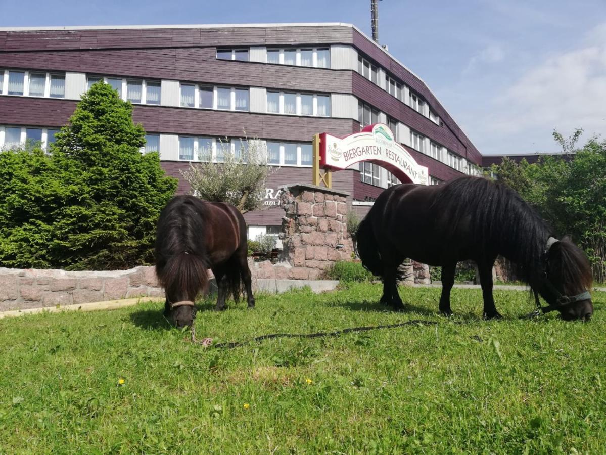 Hotel Lugsteinhof Altenberg Bagian luar foto