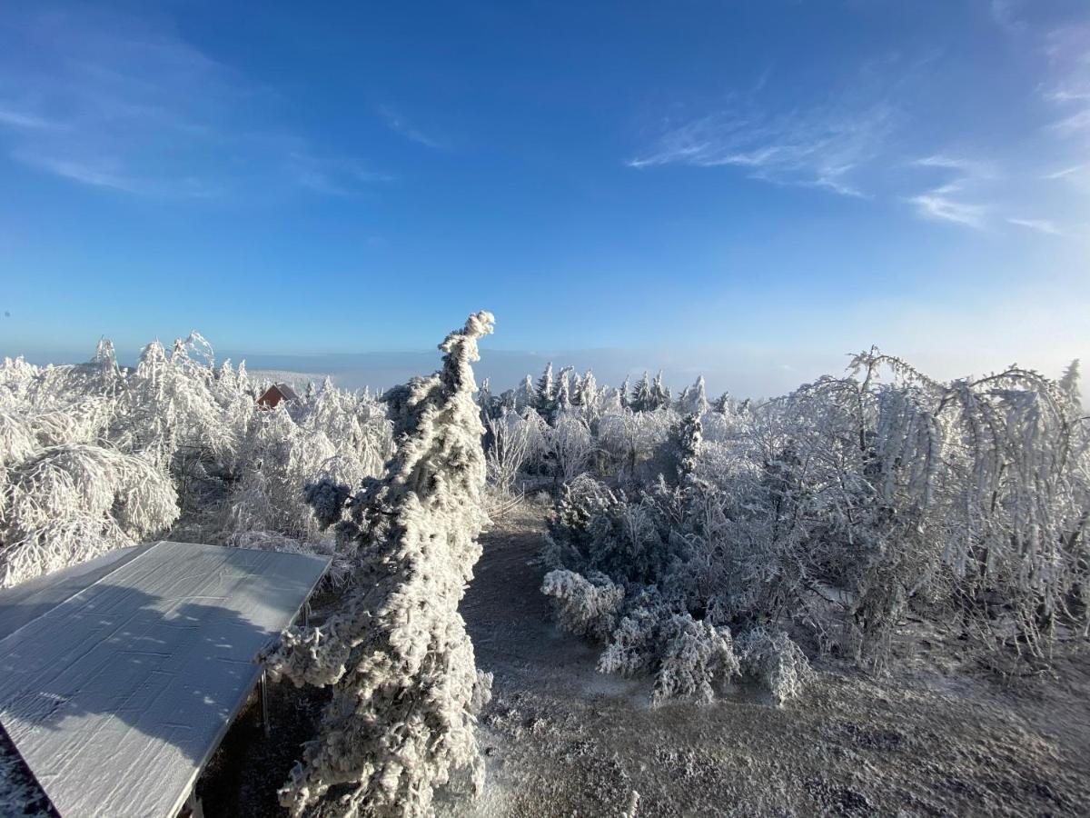 Hotel Lugsteinhof Altenberg Bagian luar foto